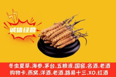 新昌县回收冬虫夏草